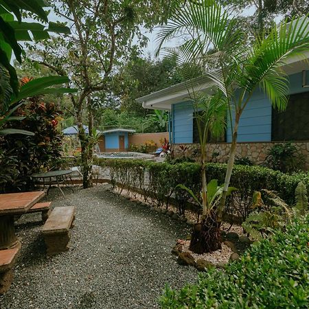 Oasis Diverse Adult Retreat Quepos Eksteriør bilde