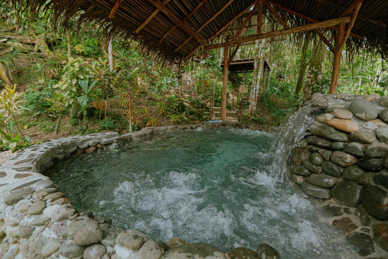 Oasis Diverse Adult Retreat Quepos Eksteriør bilde